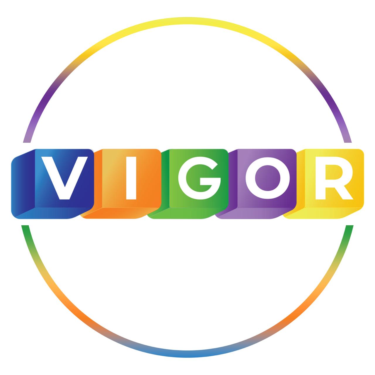 Vigor Accounting and Taxation