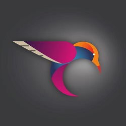 uae++